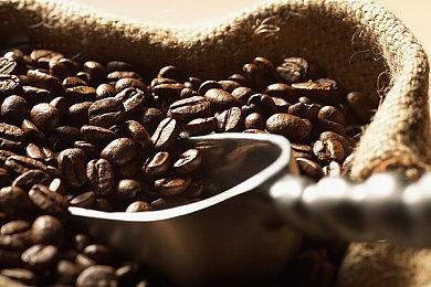 暑期相会 《Thymesia：记忆边境》公布上市日期